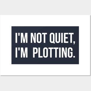 I'm not quiet I'm plotting funny Posters and Art